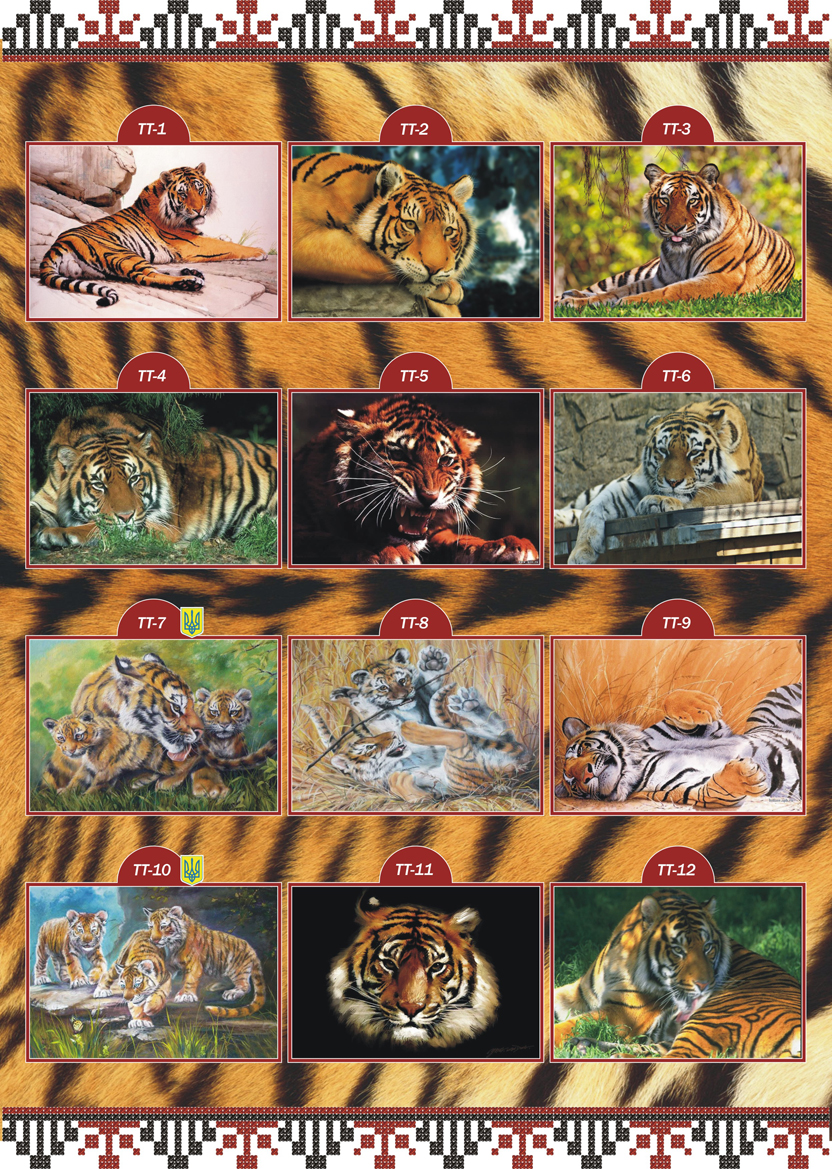 Каталог ескізів Тварини Тигри ТТ 1